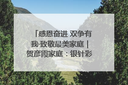 感恩奋进 双争有我·致敬最美家庭｜贺彦霞家庭：银针彩线绣出好日子