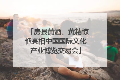 房县黄酒、黄精惊艳亮相中国国际文化产业博览交易会