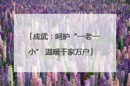 成武：呵护“一老一小” 温暖千家万户
