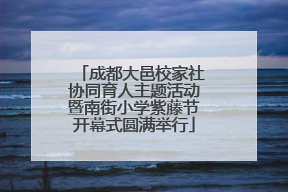 成都大邑校家社协同育人主题活动暨南街小学紫藤节开幕式圆满举行