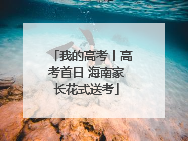 我的高考丨高考首日 海南家长花式送考