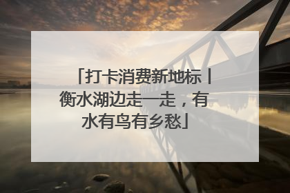 打卡消费新地标丨衡水湖边走一走，有水有鸟有乡愁