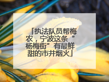 执法队员帮梅农，宁波这条“杨梅街”有最鲜甜的市井烟火