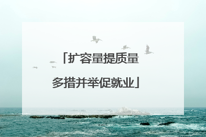 扩容量提质量 多措并举促就业