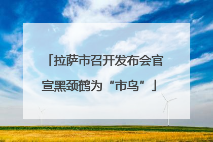 拉萨市召开发布会官宣黑颈鹤为“市鸟”