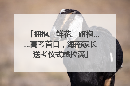 拥抱、鲜花、旗袍……高考首日，海南家长送考仪式感拉满