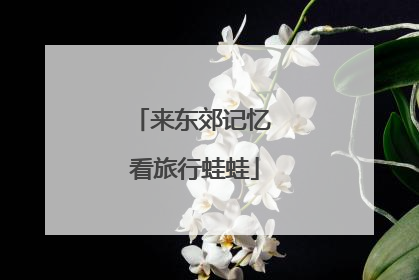 来东郊记忆 看旅行蛙蛙