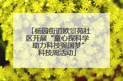 杨园街道欧景苑社区开展“童心探科学 助力科技强国梦”科技周活动