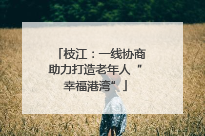 枝江：一线协商助力打造老年人“幸福港湾”