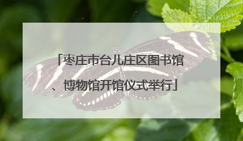 枣庄市台儿庄区图书馆、博物馆开馆仪式举行