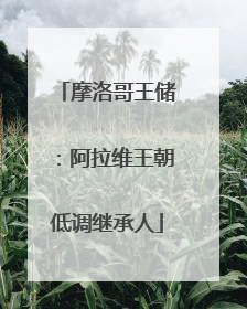 摩洛哥王储：阿拉维王朝低调继承人