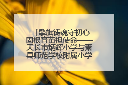 擎旗铸魂守初心 固根育苗担使命——天长市炳辉小学与萧县师范学校附属小学结对共建活动纪实