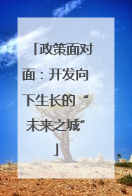 政策面对面：开发向下生长的“未来之城”