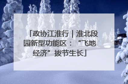 政协江淮行｜淮北段园新型功能区：“飞地经济”拔节生长