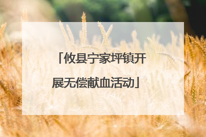 攸县宁家坪镇开展无偿献血活动
