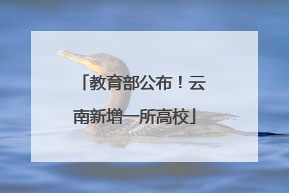 教育部公布！云南新增一所高校
