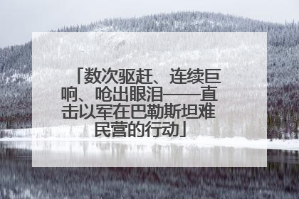 数次驱赶、连续巨响、呛出眼泪——直击以军在巴勒斯坦难民营的行动