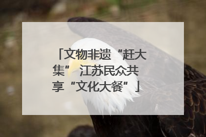 文物非遗“赶大集” 江苏民众共享“文化大餐”