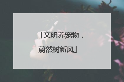文明养宠物，蔚然树新风