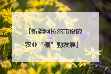 新疆阿拉尔市设施农业“棚”勃发展