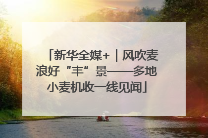 新华全媒+｜风吹麦浪好“丰”景——多地小麦机收一线见闻