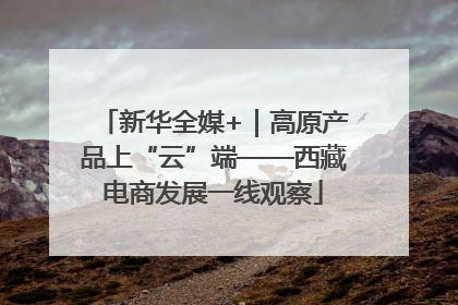 新华全媒+｜高原产品上“云”端——西藏电商发展一线观察