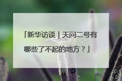 新华访谈｜天问二号有哪些了不起的地方？