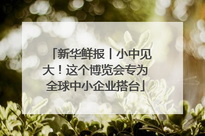 新华鲜报丨小中见大！这个博览会专为全球中小企业搭台