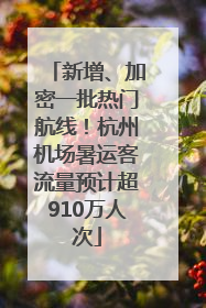 新增、加密一批热门航线！杭州机场暑运客流量预计超910万人次