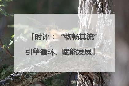 时评：“物畅其流”引擎循环、赋能发展