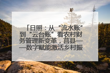 日照：从“流水账”到“云台账”看农村财务管理新变革，莒县——数字赋能激活乡村振兴“一池春水”