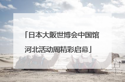 日本大阪世博会中国馆河北活动周精彩启幕