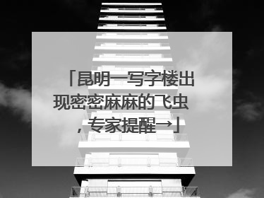 昆明一写字楼出现密密麻麻的飞虫，专家提醒→