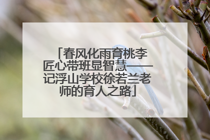 春风化雨育桃李 匠心带班显智慧——记浮山学校徐若兰老师的育人之路