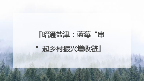 昭通盐津：蓝莓“串”起乡村振兴增收链