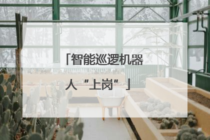 智能巡逻机器人“上岗”