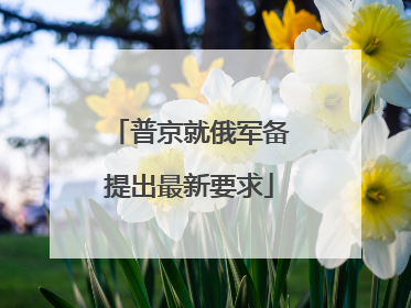 普京就俄军备提出最新要求