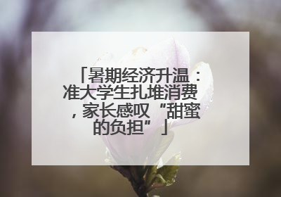 暑期经济升温：准大学生扎堆消费，家长感叹“甜蜜的负担”
