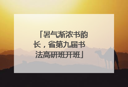 暑气渐浓书韵长，省第九届书法高研班开班