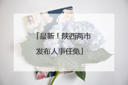最新！陕西两市发布人事任免