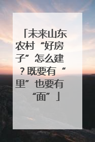 未来山东农村“好房子”怎么建？既要有“里”也要有“面”