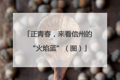 正青春，来看信州的“火焰蓝”（图）