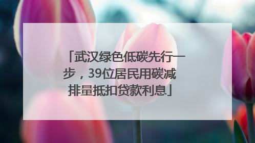 武汉绿色低碳先行一步，39位居民用碳减排量抵扣贷款利息