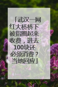 武汉一网红大桥桥下被指圈起来收费，进去100块还必须消费？当地回应