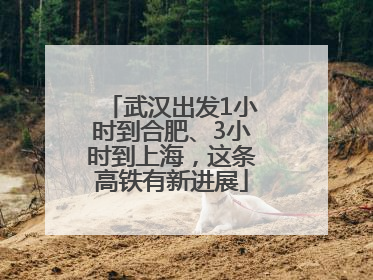 武汉出发1小时到合肥、3小时到上海，这条高铁有新进展