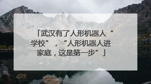 武汉有了人形机器人“学校”，“人形机器人进家庭，这是第一步”