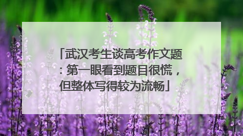 武汉考生谈高考作文题：第一眼看到题目很慌，但整体写得较为流畅