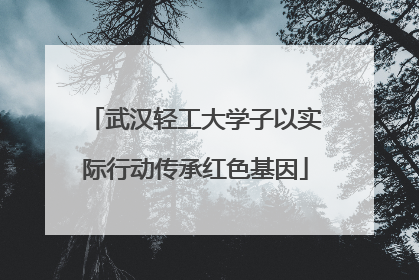 武汉轻工大学子以实际行动传承红色基因