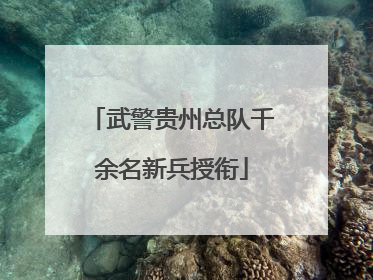 武警贵州总队千余名新兵授衔
