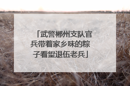 武警郴州支队官兵带着家乡味的粽子看望退伍老兵